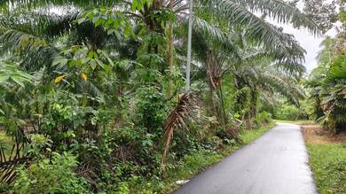 Agricultural Land in Kuala Ketil, KDH