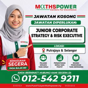 Junior Corporate Strategy & Risk Executive