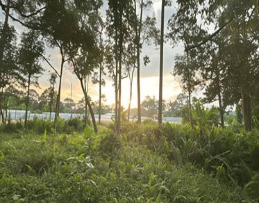 Agricultural Land in Lenggeng, NSN