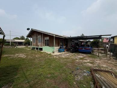 Residential Land in Pekan, PHG