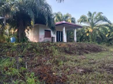 Agricultural Land in Beaufort, SBH