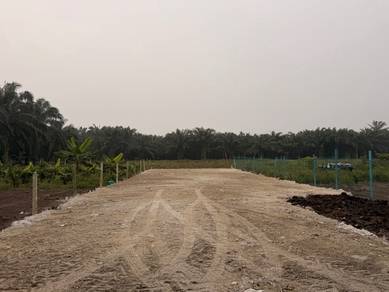 Agricultural Land in Banting, SGR