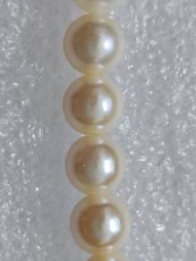 japan pearl (mutiara)