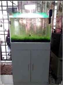 Full set aquarium CC tank with chiller
