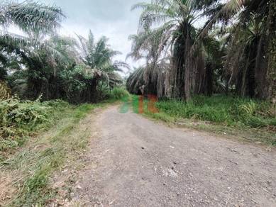 Agricultural Land in Tawau, SBH