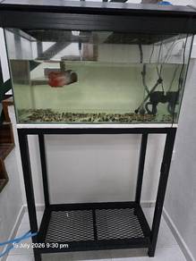 3feet aquarium set