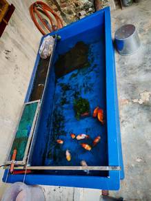 tank sekali ranchu 