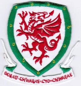 Wales National Football Team FIFA Soccer Patch