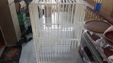 sangka kucing 