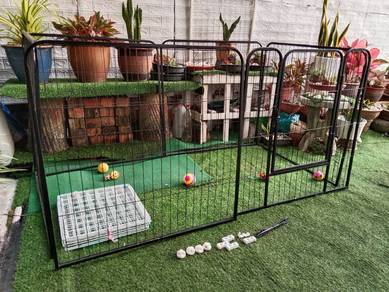 Sangkar Kucing Berpagar