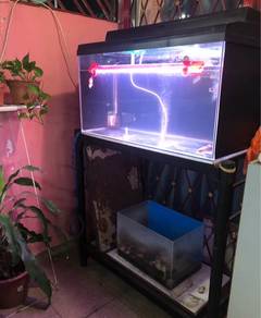 Aquarium 3ft