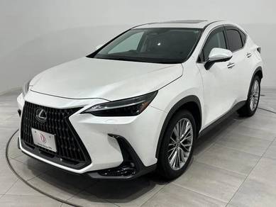 2025 Lexus NX 250 LUXURY