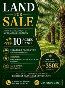 Agricultural Land in Tanjong Sepat, SGR