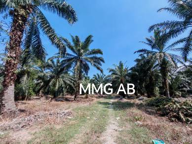 Agricultural Land in Kuala Langat, SGR