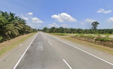 Agricultural Land in Yong Peng, JHR