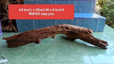 Kayu hiasan aquarium 5kaki solid body TENGGELAM