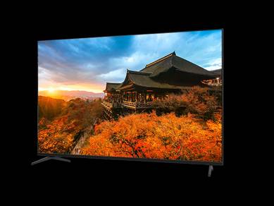 tv55 inci