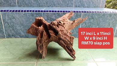 aquascape driftwood kayu bercabang