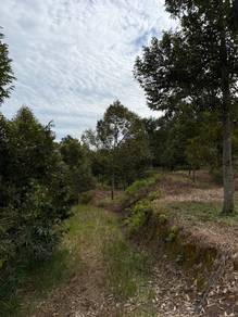 Agricultural Land in Karak, PHG