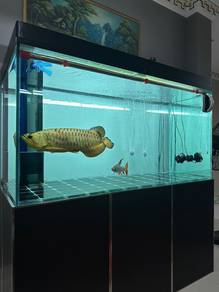 aquarium