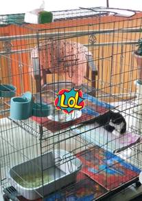 Sangkar DIY 3 Tingkat