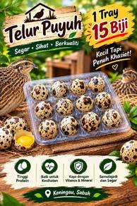 Telur Puyuh