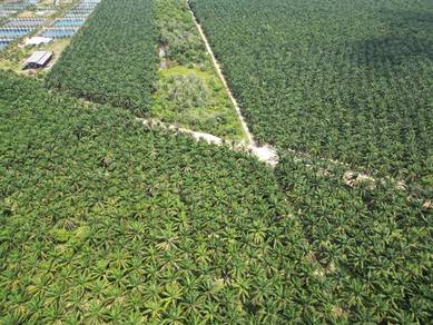Agricultural Land in Semeling, KDH