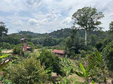 Mixed Development Land in Raub, PHG
