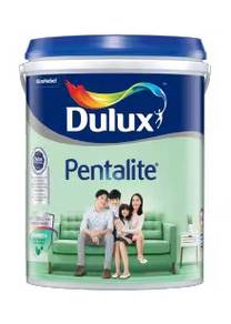 Dulux Pentalite is the Best Dulux Anti Mould Paint