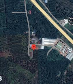 Agricultural Land in Simpang Renggam, JHR