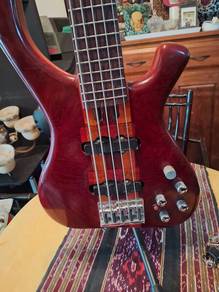 ALICEIA 5string neck through bass guitar 