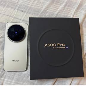 VIVO X300 PRO