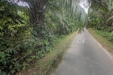 Agricultural Land in Raub, PHG