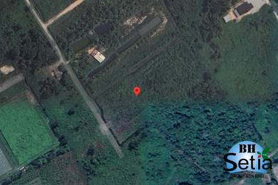 Agricultural Land in Penor, PHG