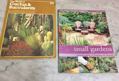 Combo - Cactus Succulents and Small Gardens