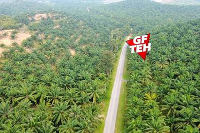 Industrial Land in Baling, KDH