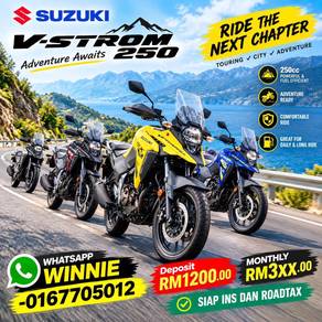 Suzuki V-Strom SX 250