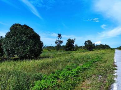Agricultural Land in Kuching, SWK