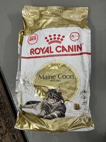 Makanan kucing