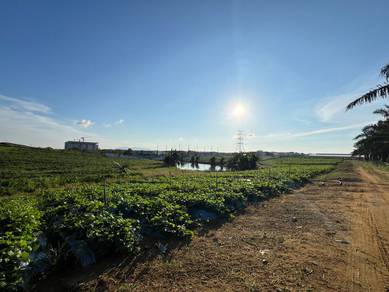 Industrial Land in Senai, JHR