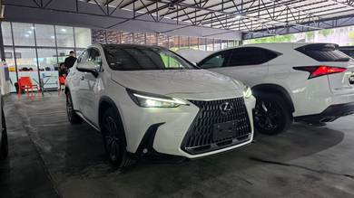 Lexus NX 250 LUXURY in Damansara, KUL
