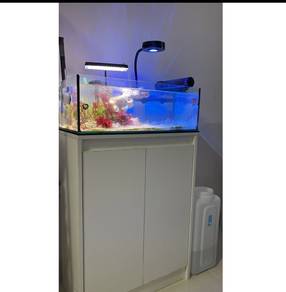 Aquarium ikan 2.5KAKI