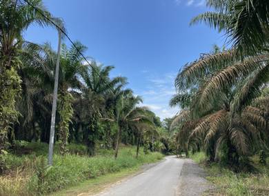 Agricultural Land in Kuching, SWK