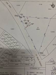 Commercial Land in Marang, TRG