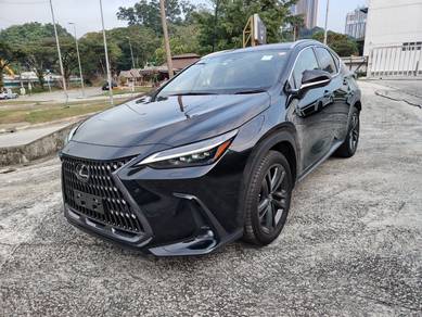 2023 Lexus NX 250 LUXURY