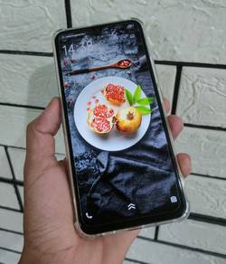 Vivo Y17 