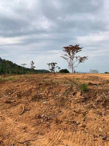 Agricultural Land in Yan, KDH