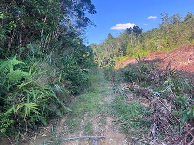 Agricultural Land in Gua Musang, KTN