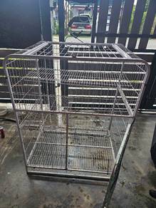 sangkar kucing