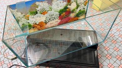 2 Feet Aquarium with Filter & Lamp